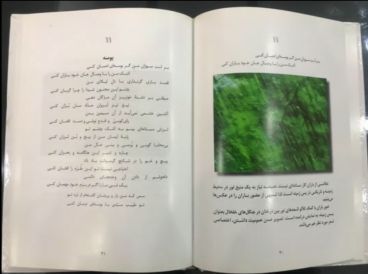 کتاب شعر بوسه